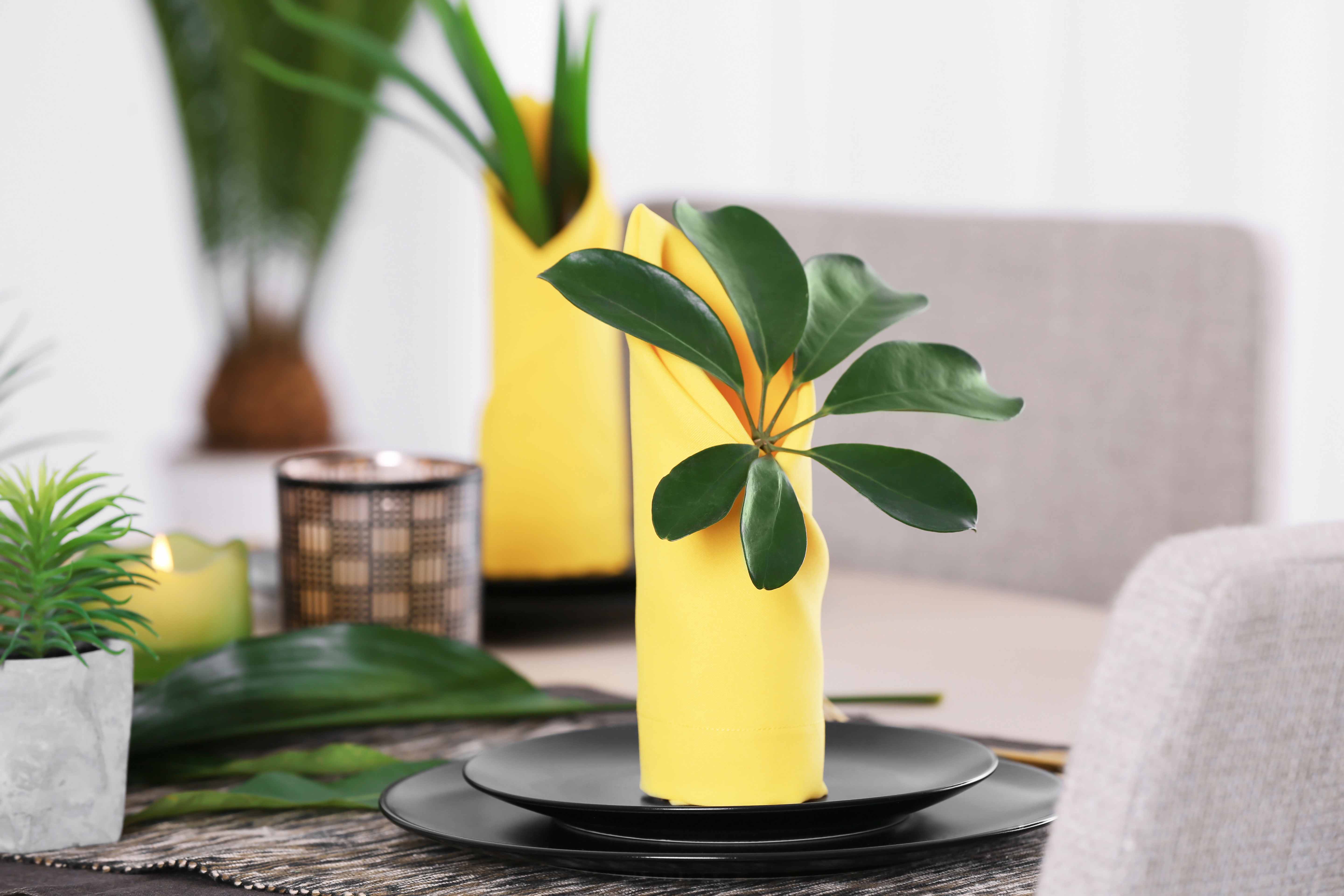 Зелёный: гармония и свежесть